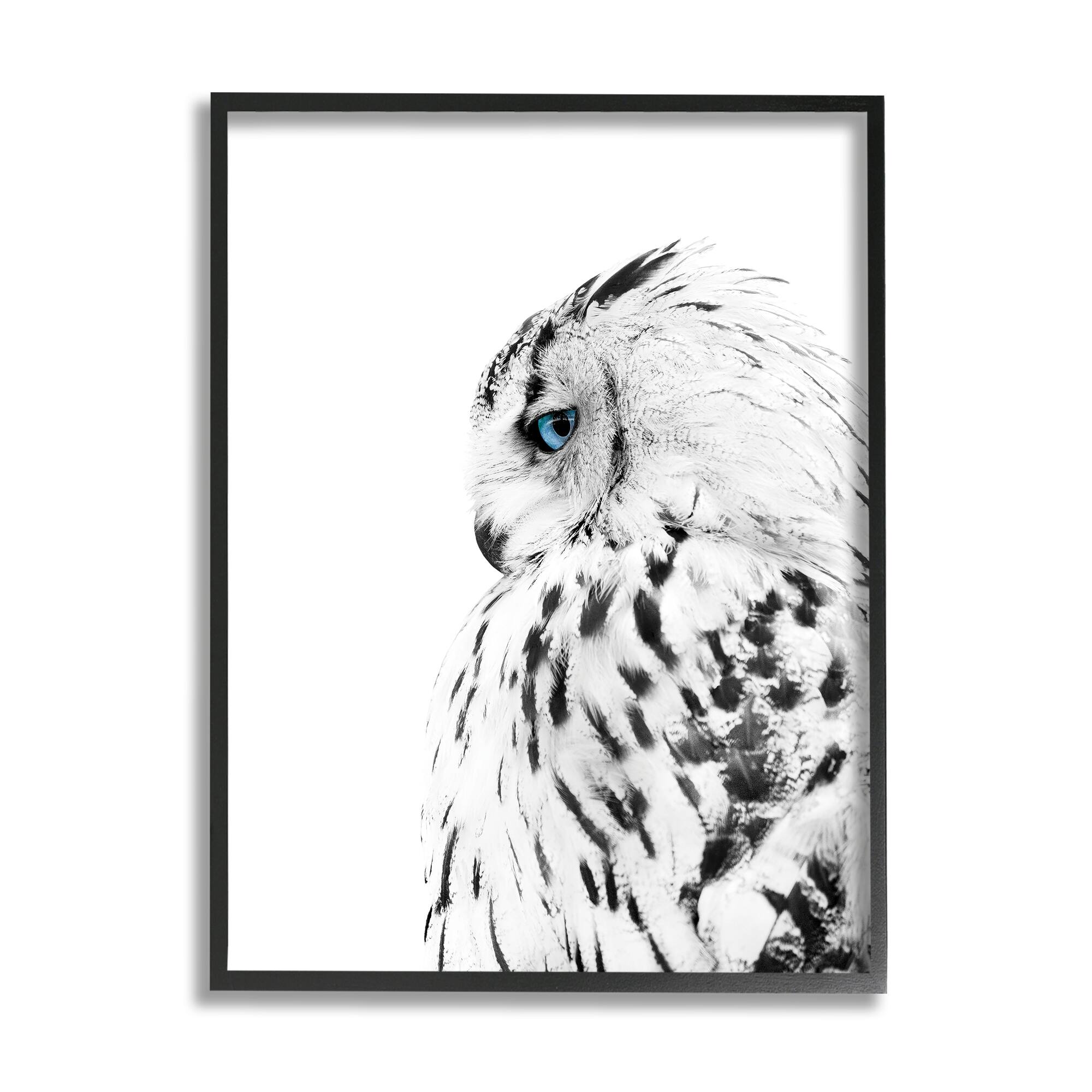 Stupell Industries Snow Owl White Feathers Peering Blue Eyes in Black Frame Wall Art